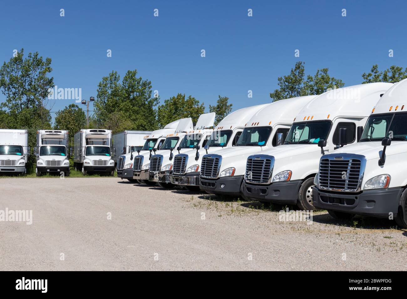 Indianapolis - circa giugno 2020: Camion del rimorchio di semi-trattore di Freightliner allineati per la vendita. Freightliner è di proprietà di Daimler. Foto Stock