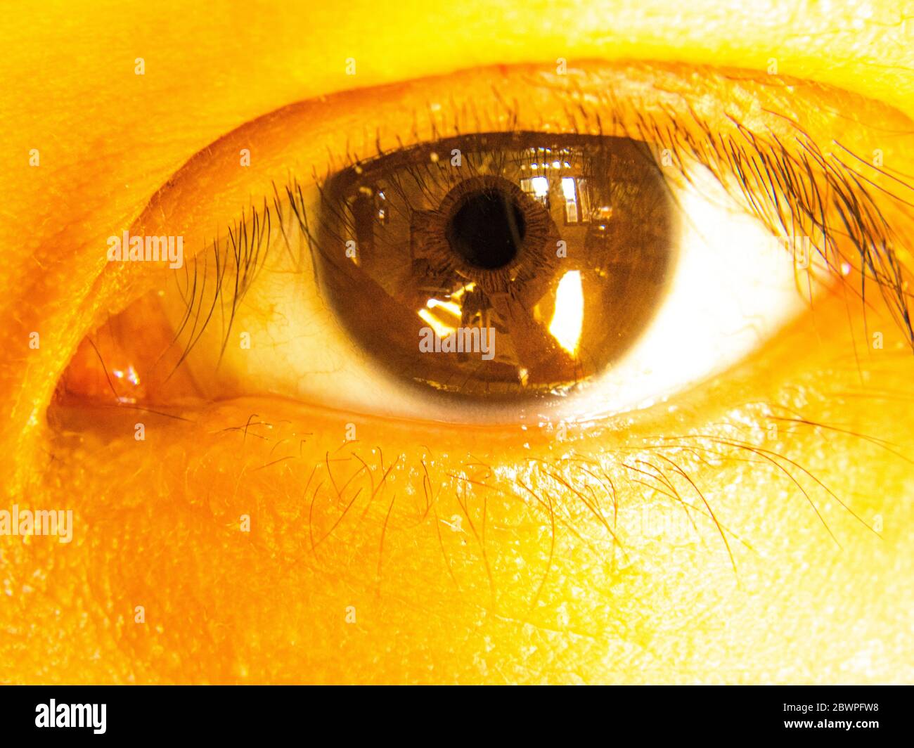 Macro Fotografia tema cercando di catturare il mio occhio Foto Stock