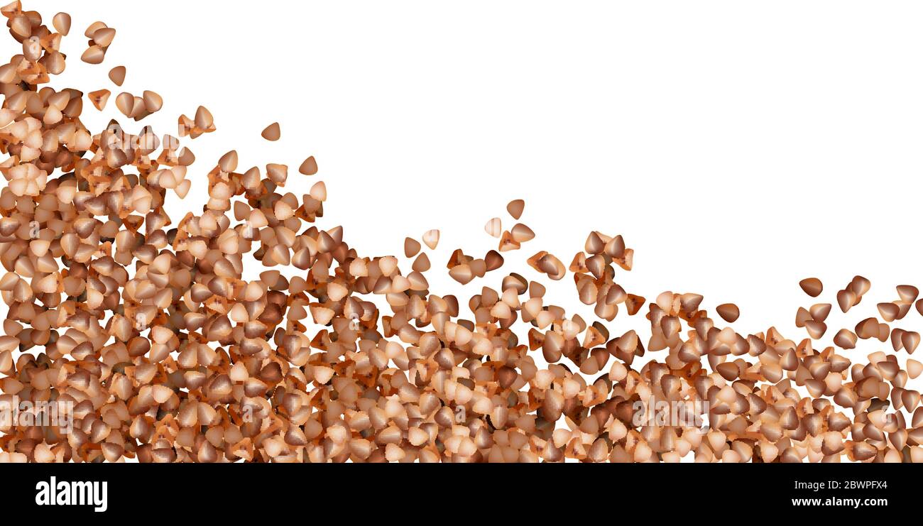 Semole e semolini di grano saraceno palo alto vista su sfondo bianco Illustrazione Vettoriale