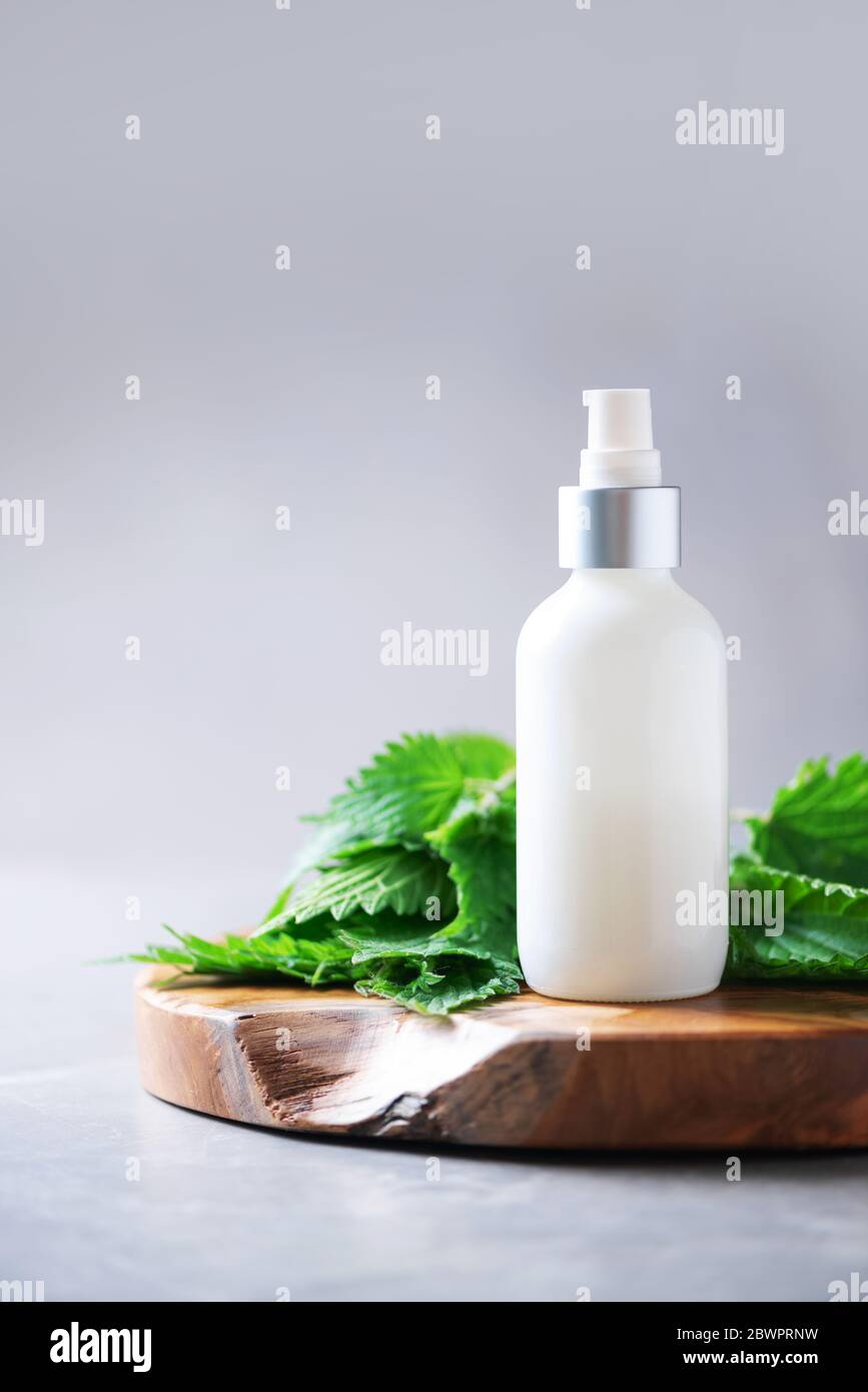 Centro benessere naturale, prodotti cosmetici a base di erbe. Crema di ortica, crema, shampoo o sapone in bottiglia bianca e foglie di bollitori fresche su sfondo grigio. Erba medicinale per h. Foto Stock