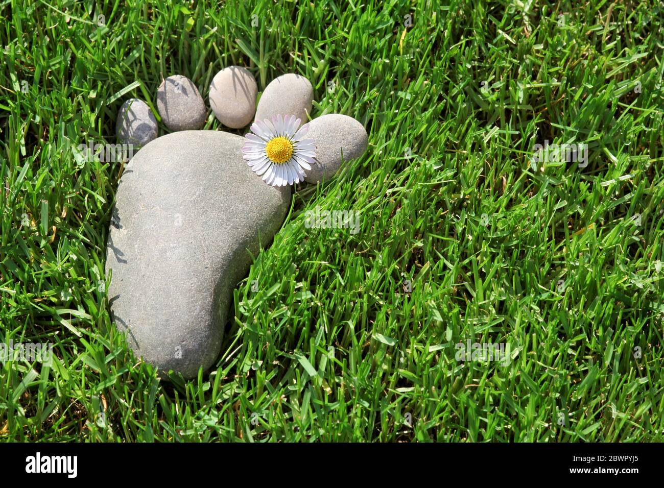 Pietre come impronte nell'erba Foto Stock