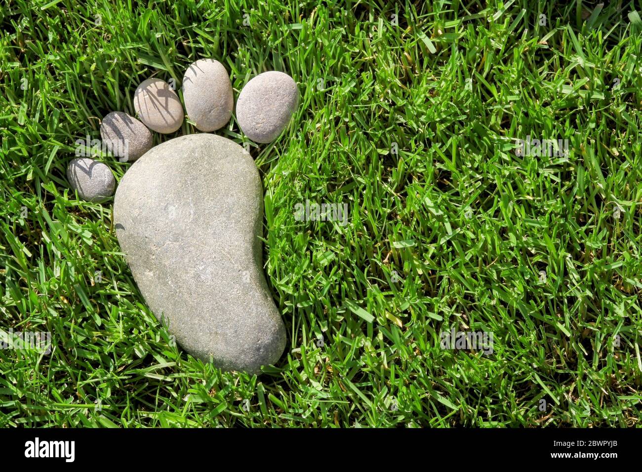 Pietre come impronte nell'erba Foto Stock