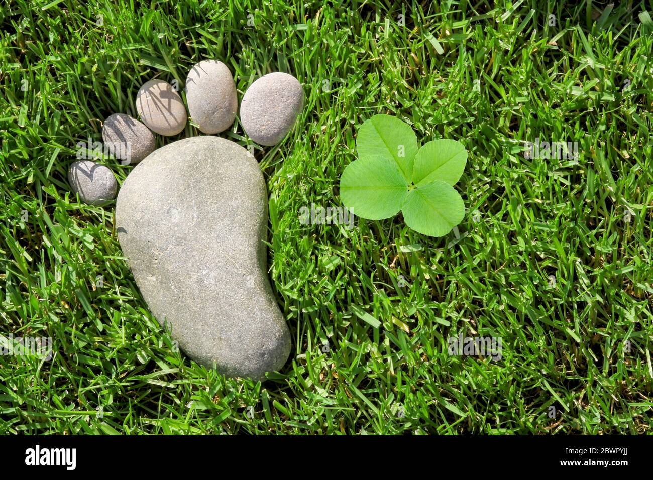 Pietre come impronte nell'erba Foto Stock