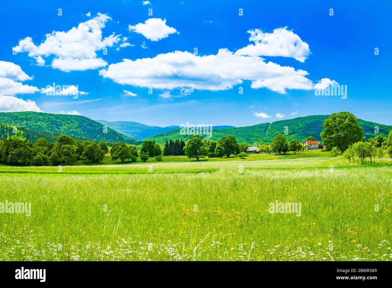 Croazia, bellissimo paesaggio verde di campagna nella regione di Lika Foto Stock