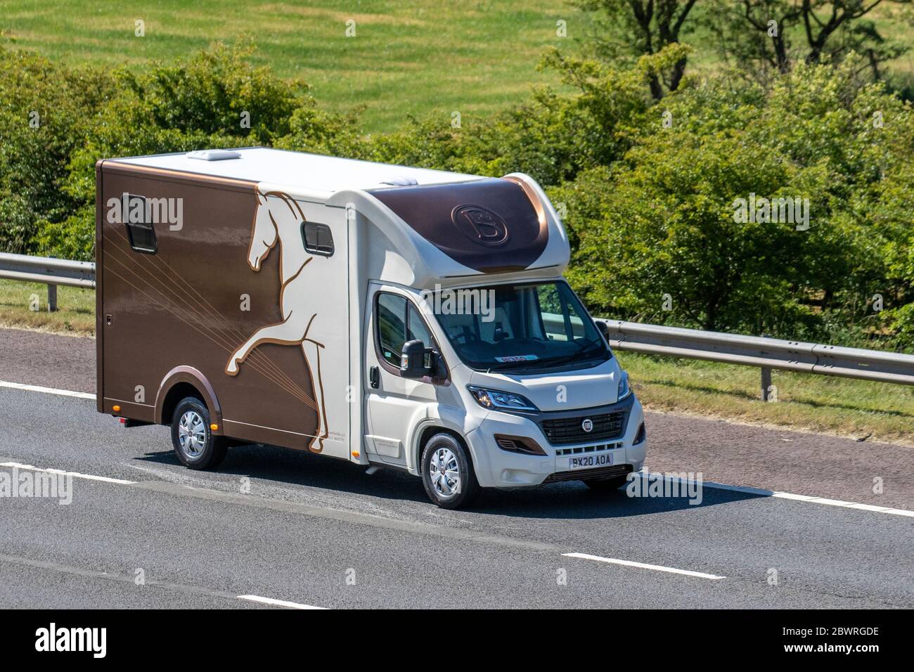 Fiat Ducato marrone crine box; trasporto di animali sull'autostrada M61, Lancashire, UK Foto Stock