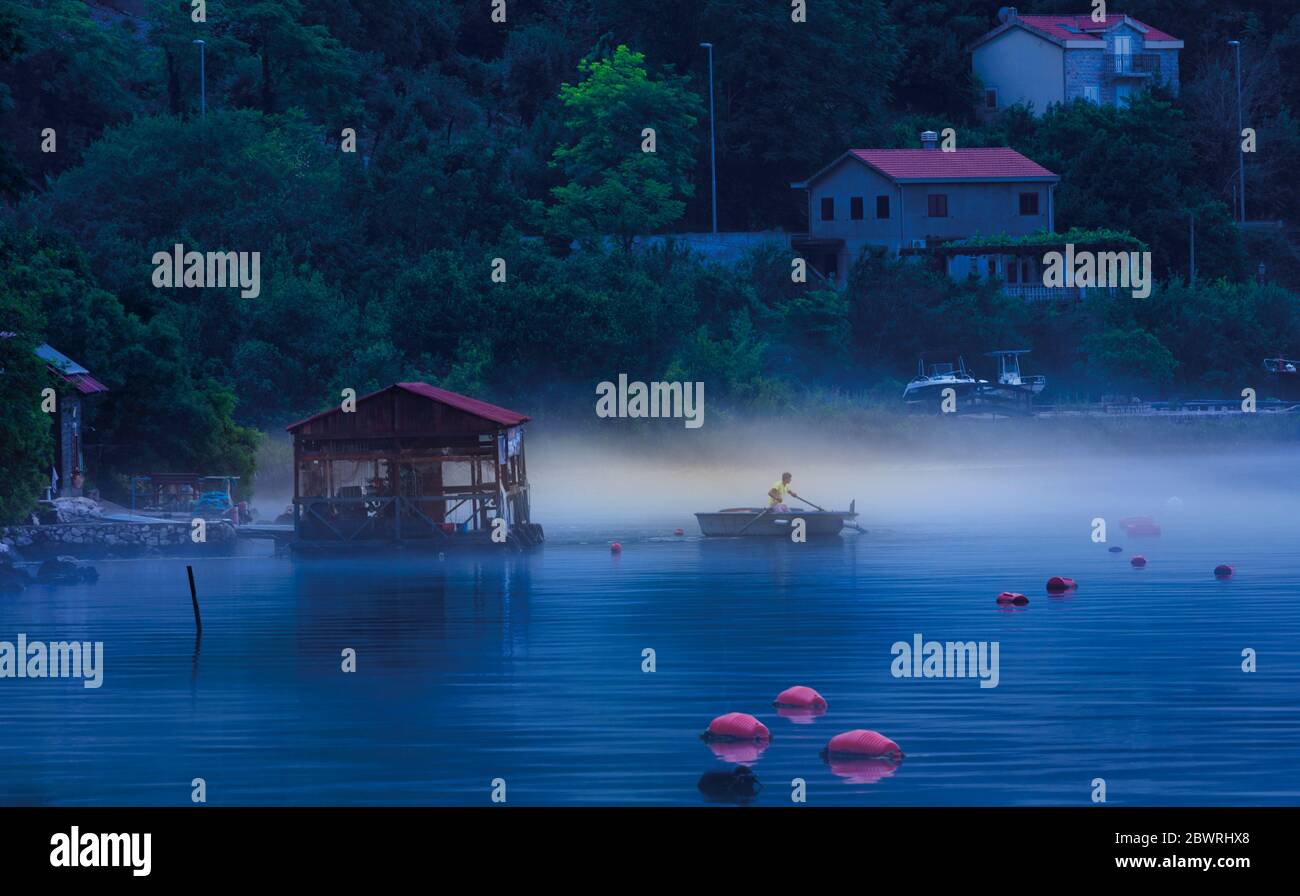 Orahovak, Montenegro. Il pescatore si fila verso la fattoria di mitili in prima mattina nebbia. Foto Stock