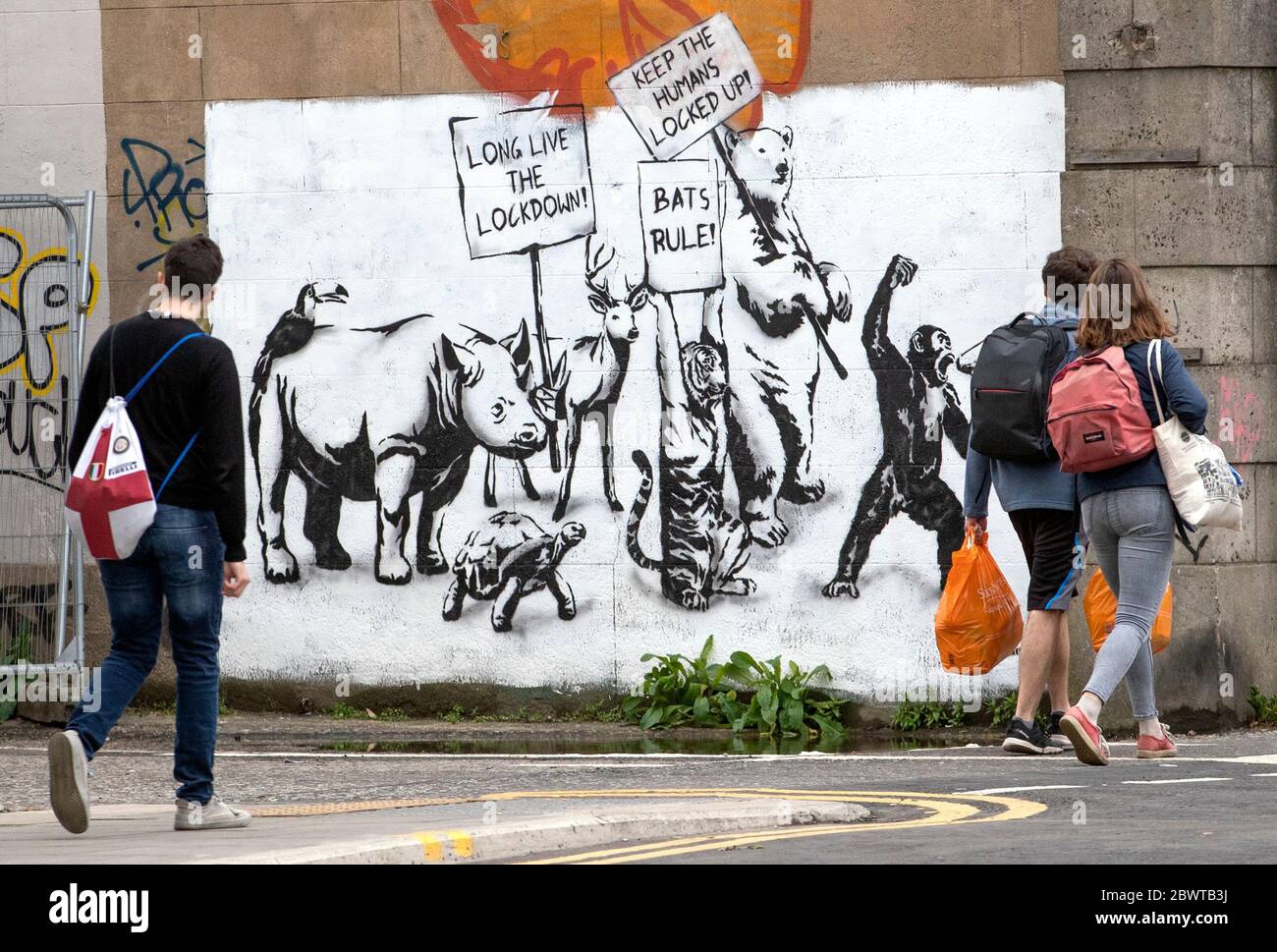 Un nuovo pezzo di arte di strada del Rebel Bear è apparso su un muro a Leith, Edimburgo, mentre la Scozia sta entrando nella prima fase del piano del governo scozzese per il graduale sollevamento della chiusura. Foto Stock