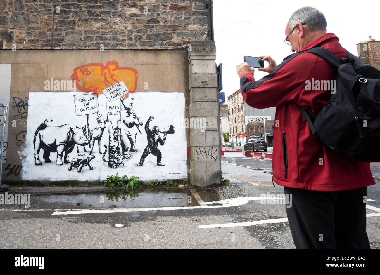 Un nuovo pezzo di arte di strada del Rebel Bear è apparso su un muro a Leith, Edimburgo, mentre la Scozia sta entrando nella prima fase del piano del governo scozzese per il graduale sollevamento della chiusura. Foto Stock