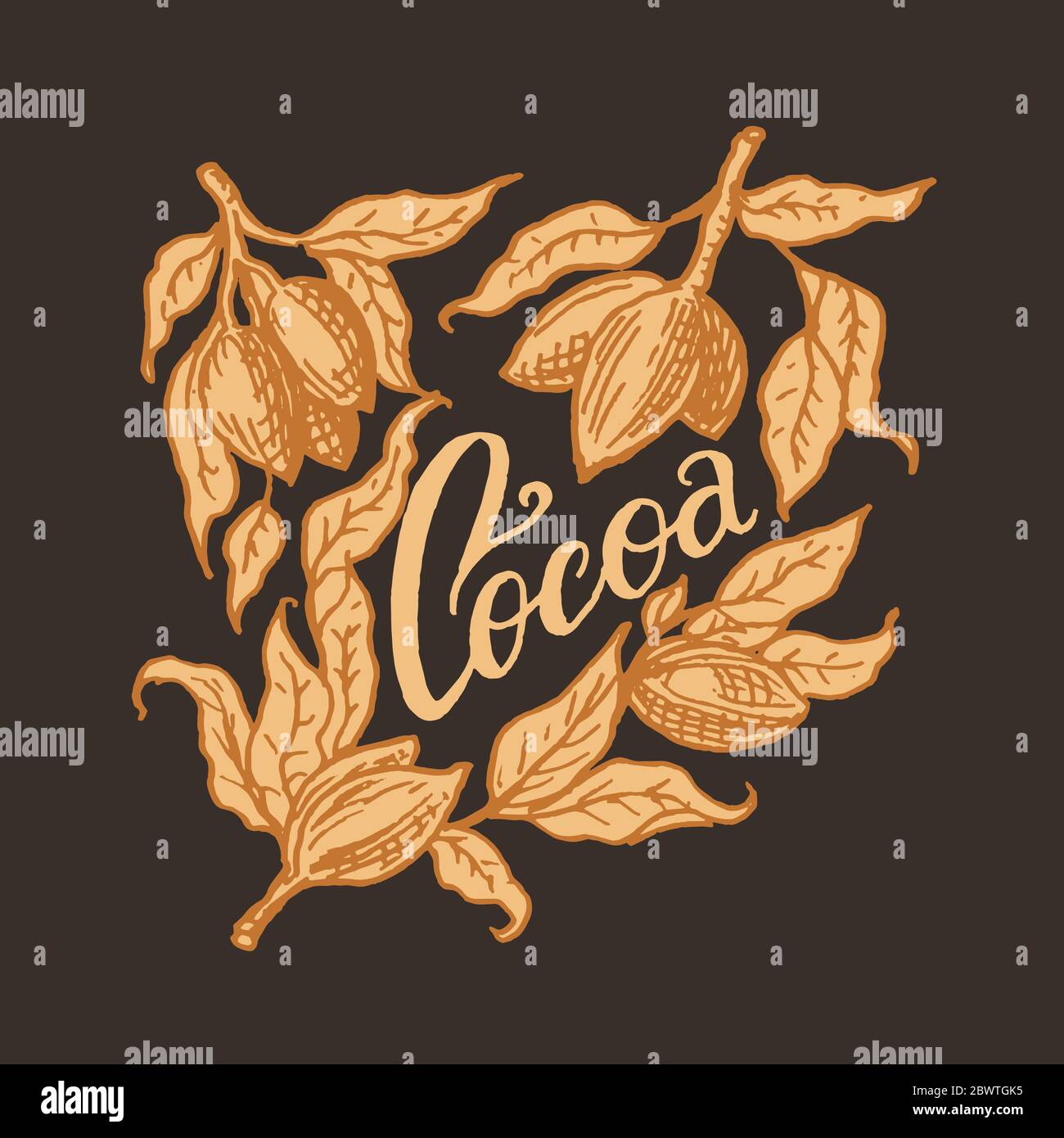 Foglie di cacao. Badge o logo vintage per t-shirt, tipografia, negozio o cartelloni. Schizzo inciso disegnato a mano. Illustrazione vettoriale. Illustrazione Vettoriale