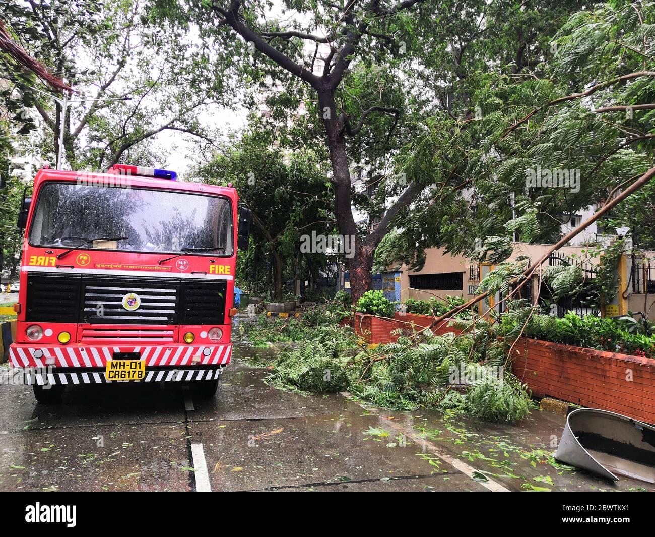 Mumbai, India. 3 Giugno 2020. Un motore antincendio è parcheggiato da un albero danneggiato nella zona di Cuffe Parade di Mumbai, India, 3 giugno 2020. Il ciclone Nisarga fece la caduta sulla costa occidentale dell'India, vicino a Mumbai, il mercoledì pomeriggio. Credit: Yadong/Xinhua/Alamy Live News Foto Stock