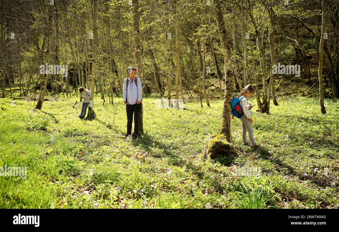 Madre che esplora la foresta mentre i bambini sono dipendenti dai telefoni cellulari a Swabian Jura Foto Stock
