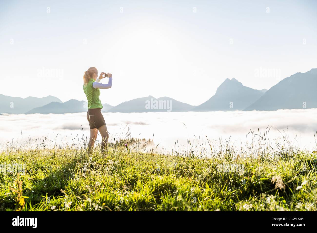 Donna che scava una foto su uno smartphone su un prato in montagna, Achenkirch, Austria Foto Stock