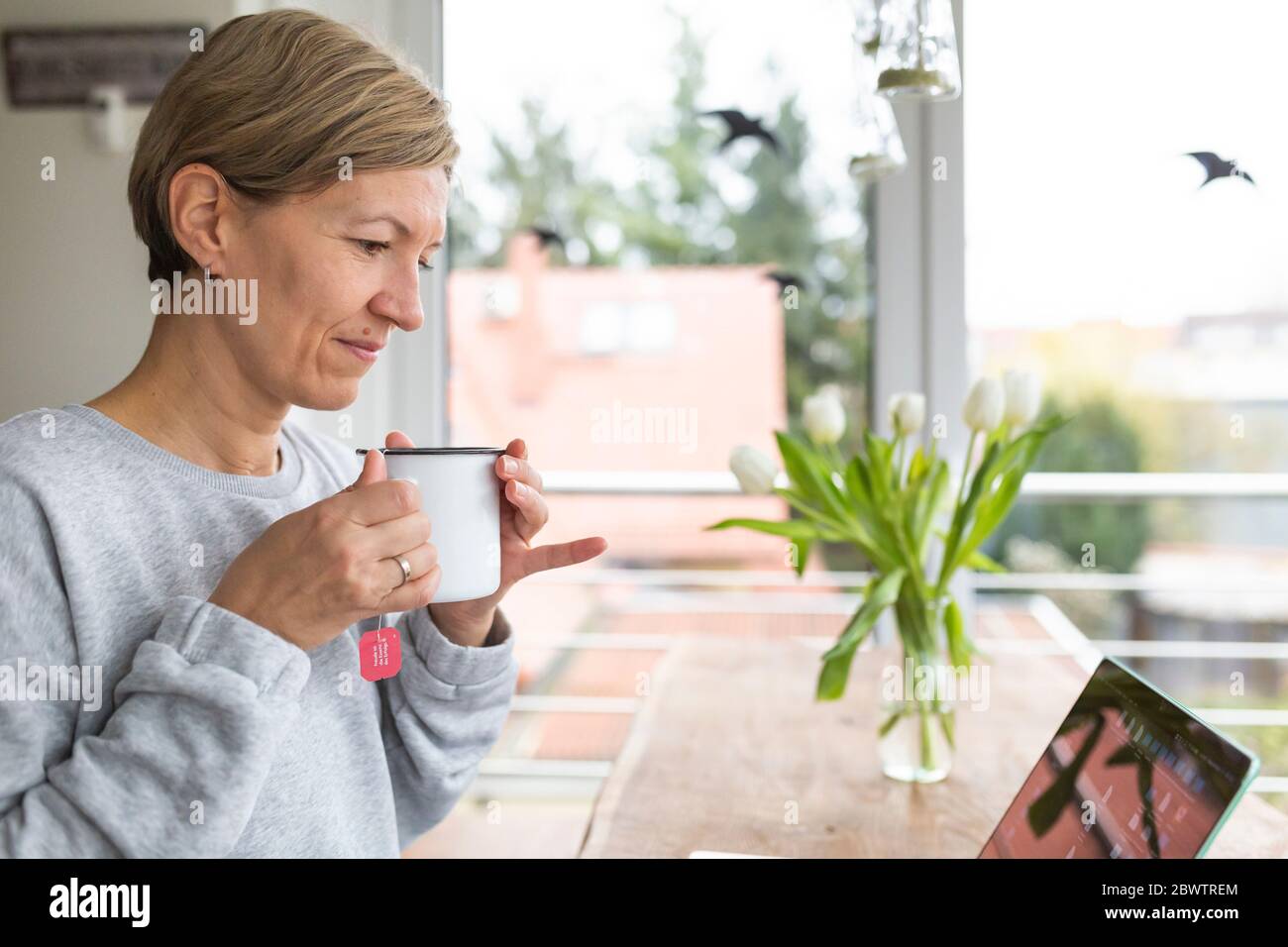 Donna matura che lavora da casa, utilizzando un computer portatile, bere tè Foto Stock