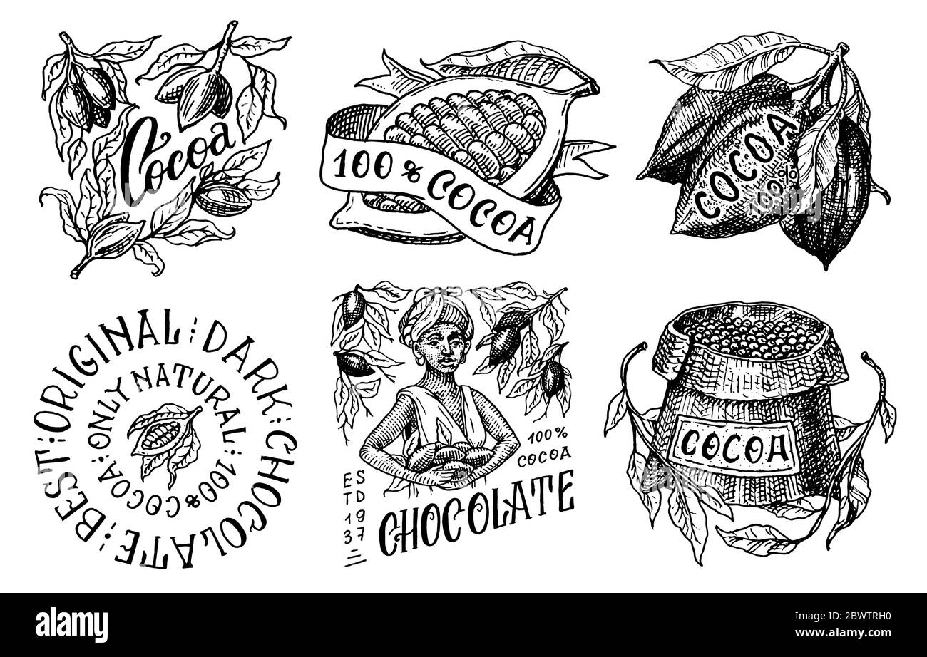 Fagioli di cacao e cioccolato. Grani e sacchetto. Vendemmia donna. Set di badge o logo vintage per t-shirt, tipografia, negozio o cartelloni. Disegnata a mano con incisione Illustrazione Vettoriale