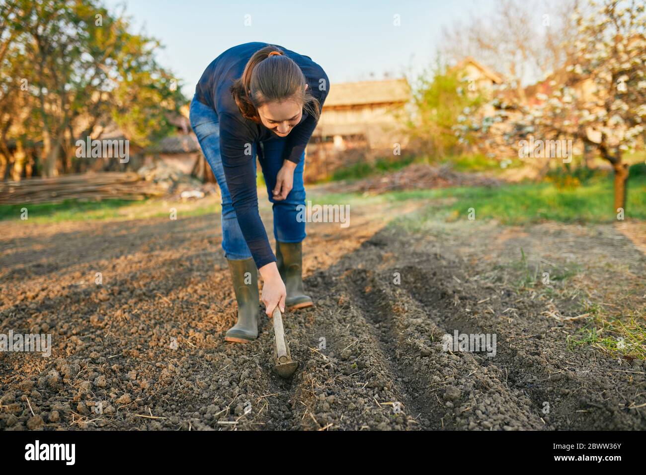 Lunghezza completa di donna che usa l'aratro a mano sul terreno mentre giardinaggio durante il fine settimana Foto Stock