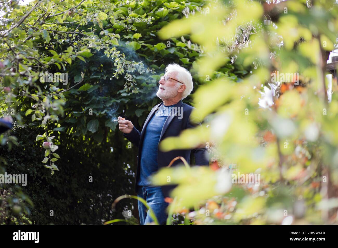 Uomo anziano che fuma sigarette in giardino Foto Stock