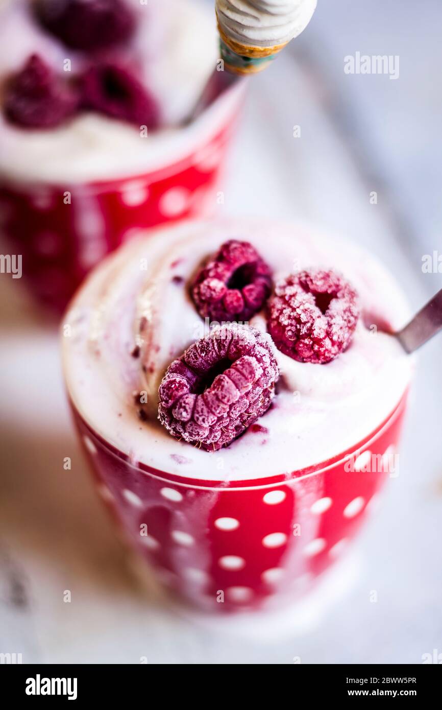 Tazza di gelato morbido fatto in casa con lamponi Foto Stock