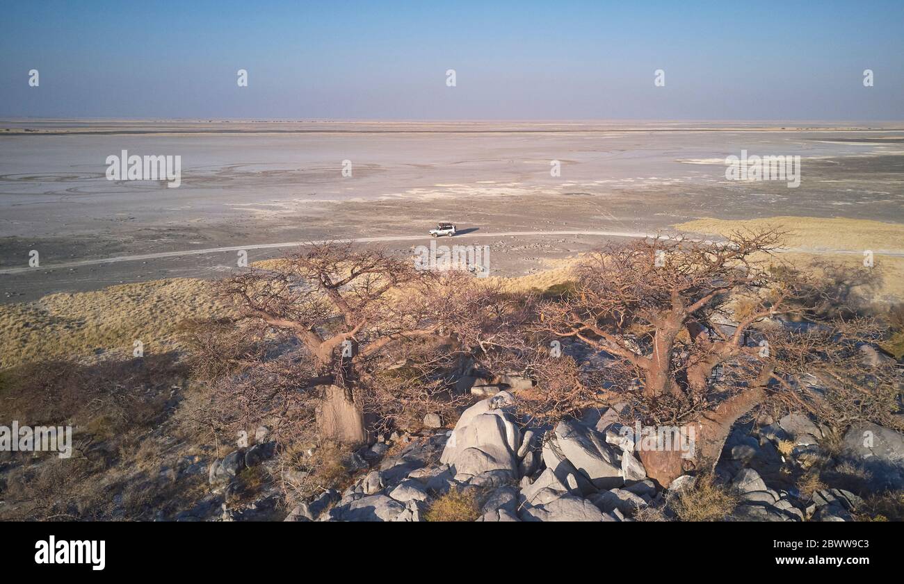 Botswana, vista aerea degli alberi di baobab e 4x4 che attraversano l'isola di Kubu in Makgadikgadi Pan Foto Stock