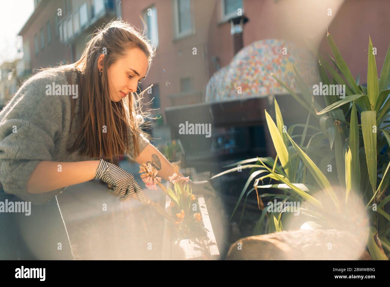 Giovane donna che lavora in giardino sotto il sole Foto Stock