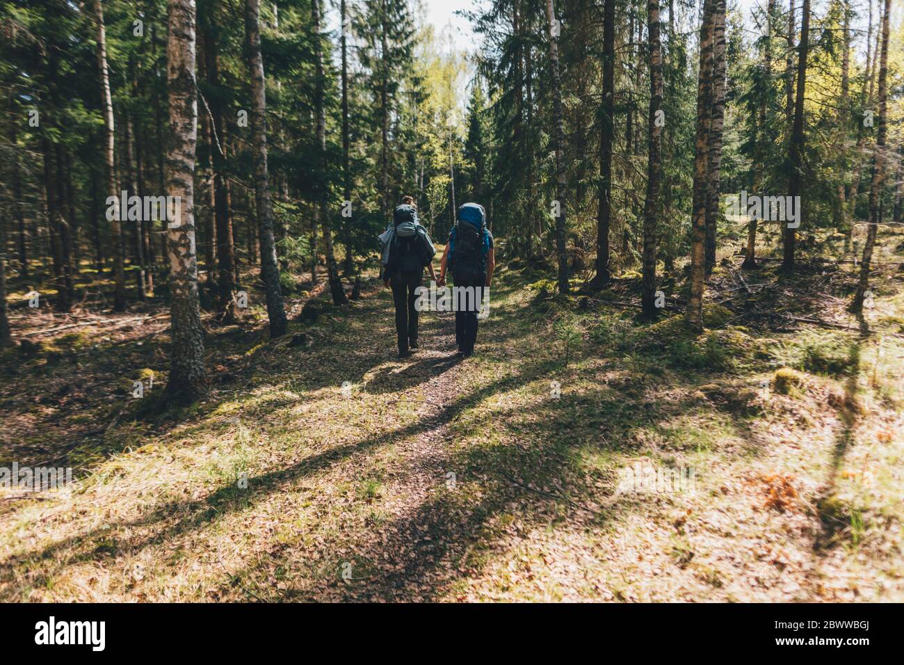 Giovani escursionisti nella foresta, Sormlandsleden, Svezia Foto Stock