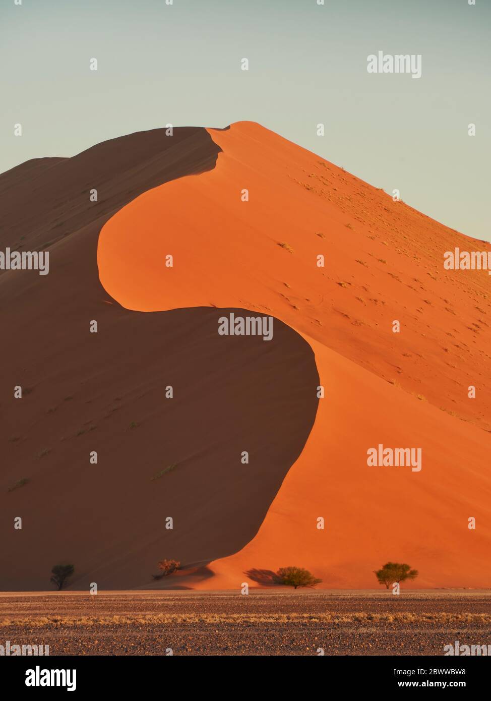 Sole che splende sulla duna rossa 45, Sossusvlei, Namibia Foto Stock