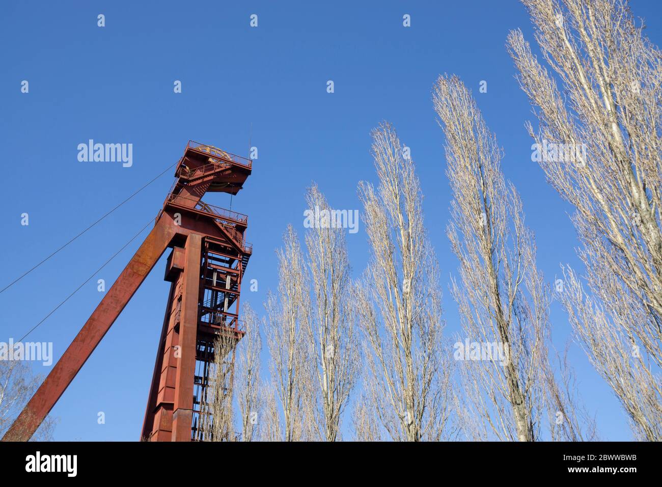 Germania, Renania Settentrionale-Vestfalia, Kamen, Vista a basso angolo di una torre ad albero abbandonata che si erge contro il cielo limpido Foto Stock