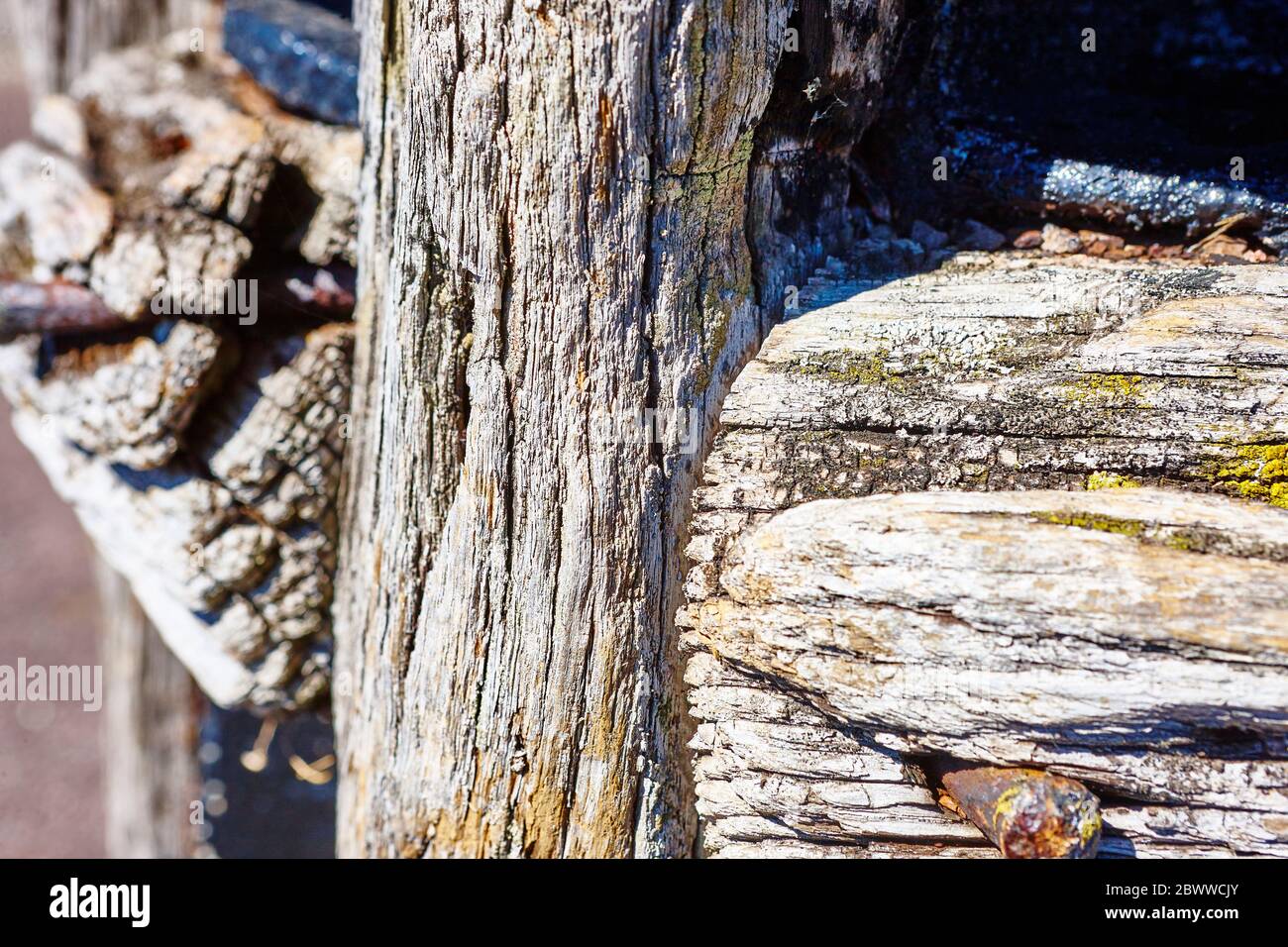 Old Weathered Wood nei Docks a Bristol, Inghilterra Regno Unito Foto Stock