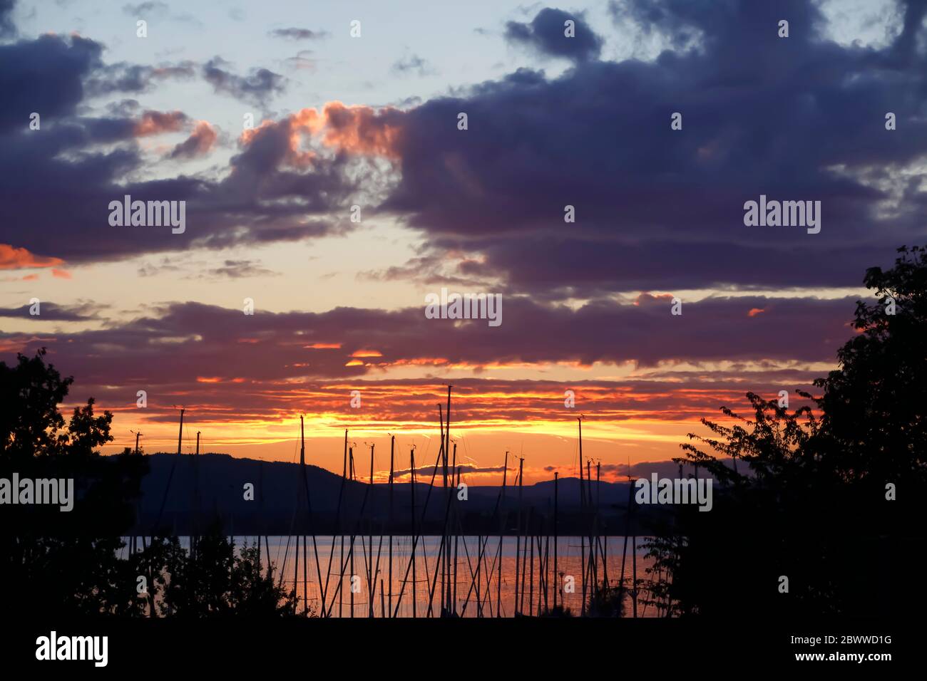Germania, Lago di Costanza, alberi di barche ormeggiate sul lungolago al tramonto nuvoloso Foto Stock