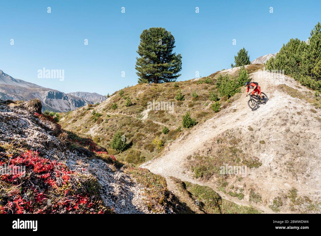 Uomo in mountain bike, Valle Munestertal, Grigioni, Svizzera Foto Stock