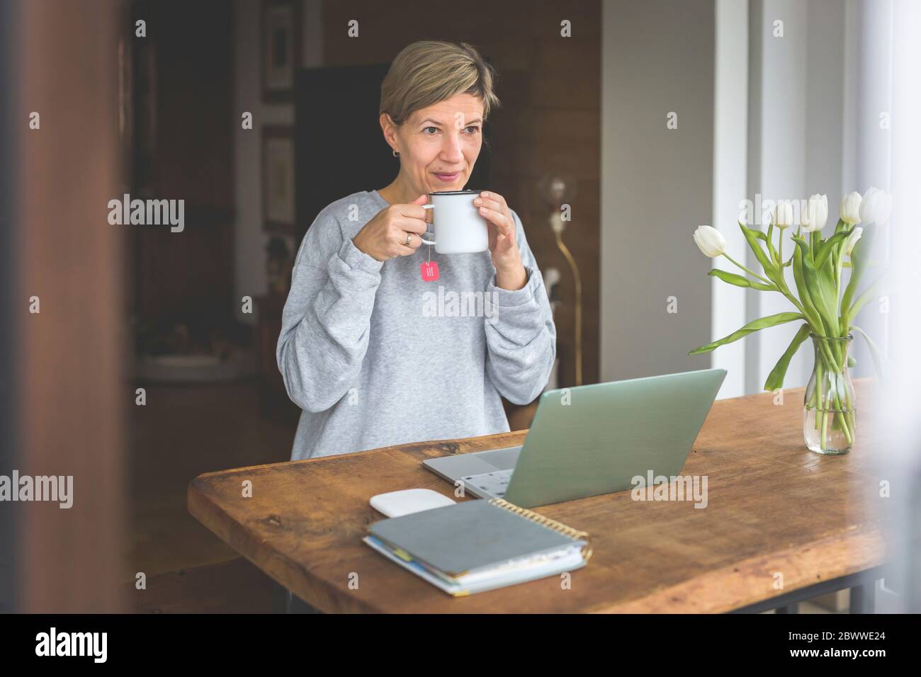 Donna matura che lavora da casa, utilizzando un computer portatile, bere tè Foto Stock