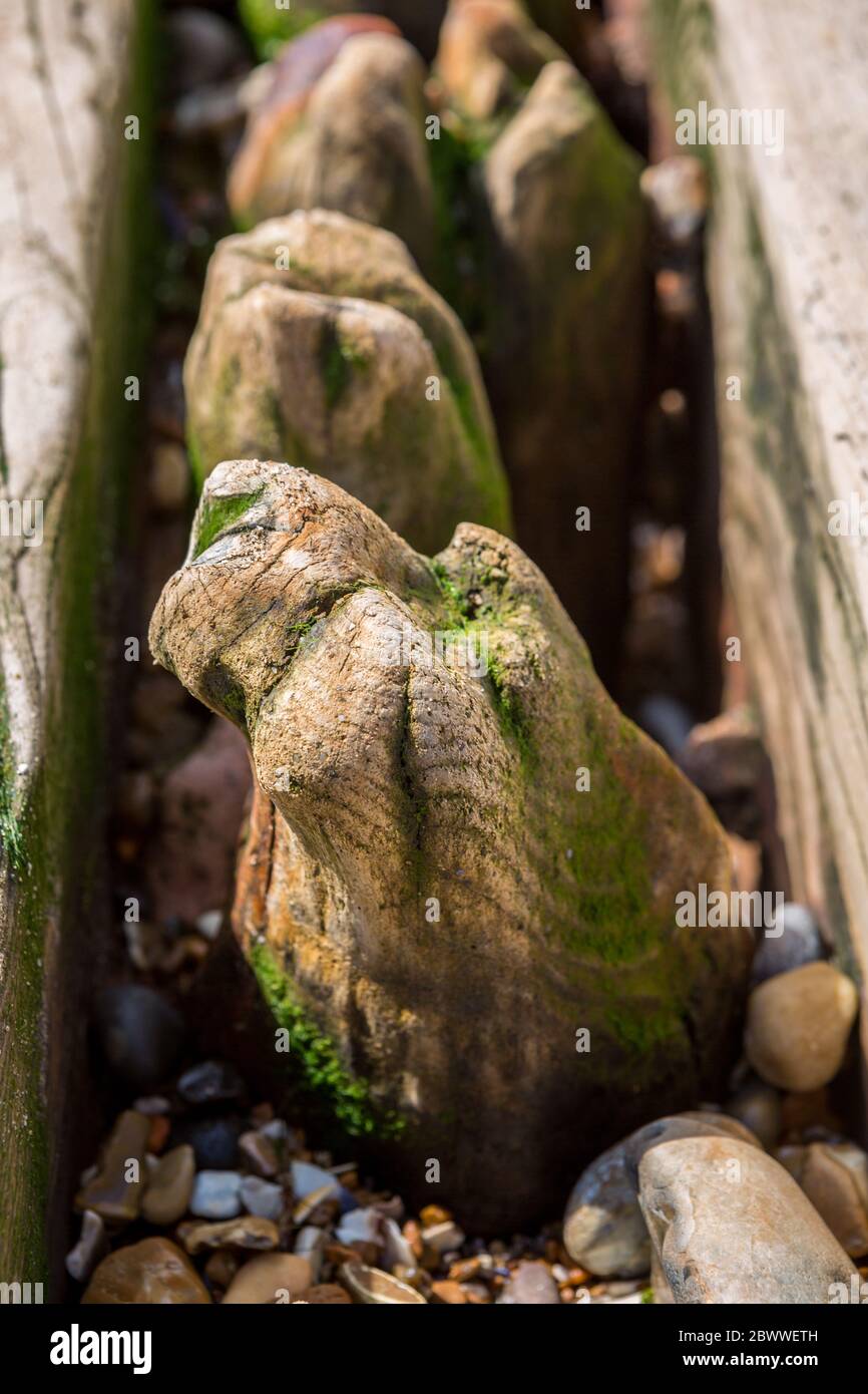 struttura di legno intemperie che è stato usurato dalle onde Foto Stock