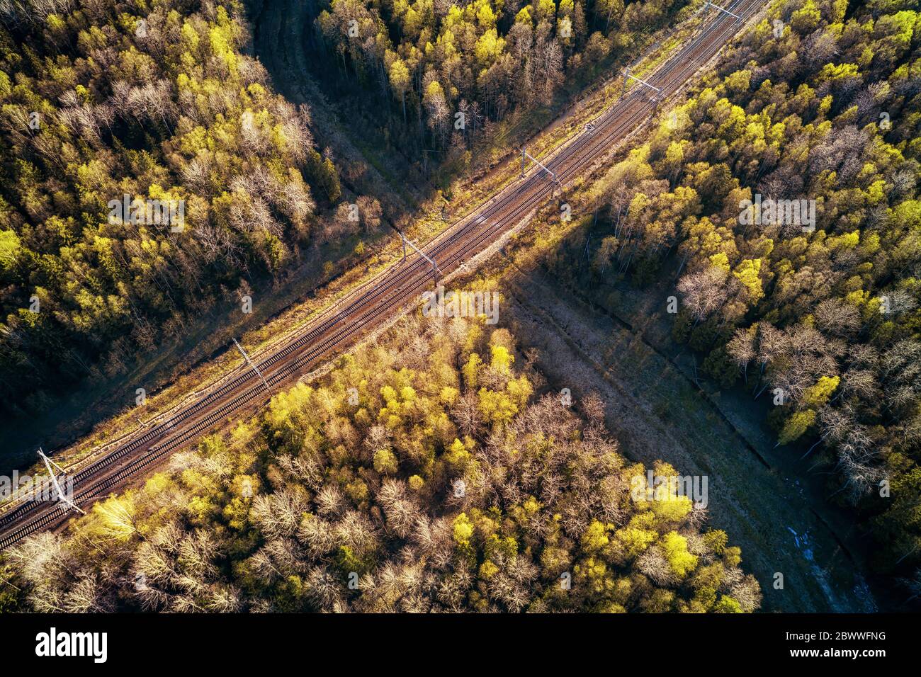 Strada forestale e attraversamento ferroviario. Vista aerea ad alto angolo al tramonto Foto Stock
