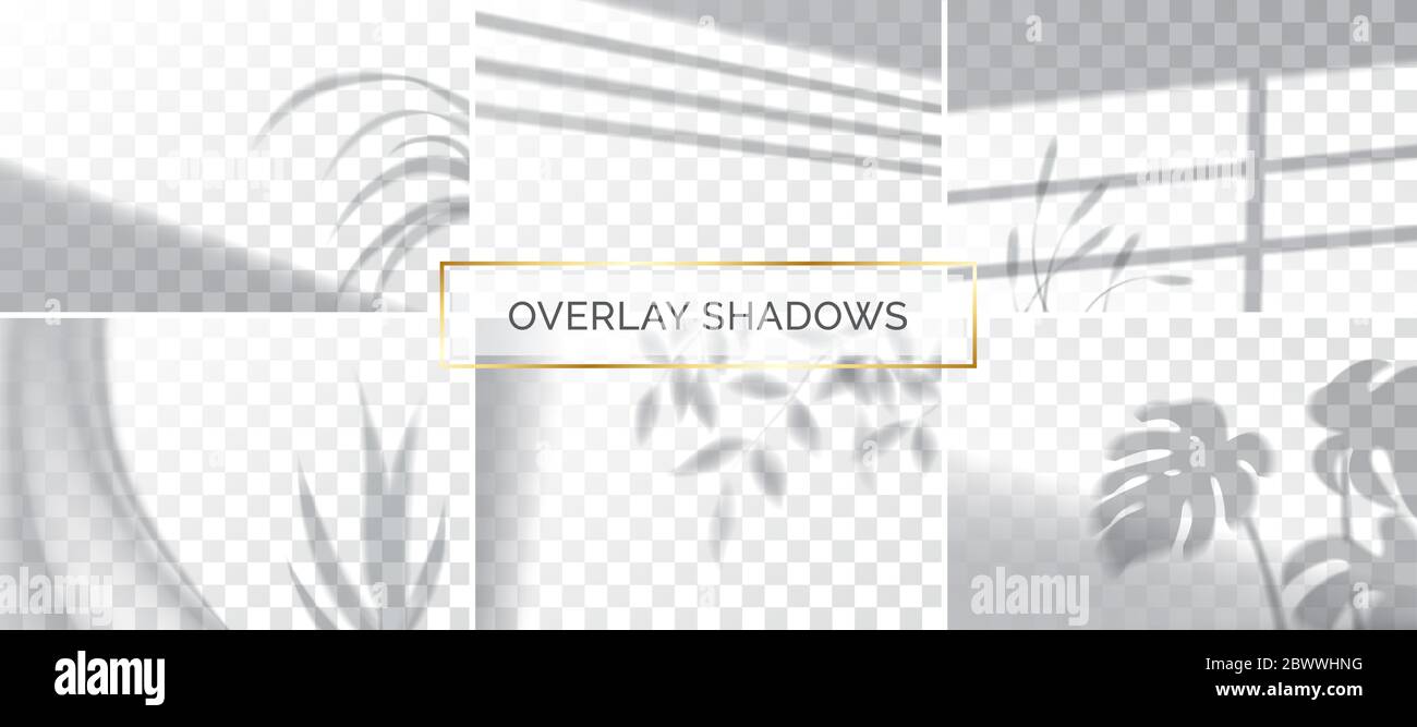 Set di ombre, effetti di sovrapposizione mock up, sul telaio di una finestra e di foglie di piante, luce naturale, illustrazione vettoriale. Illustrazione Vettoriale
