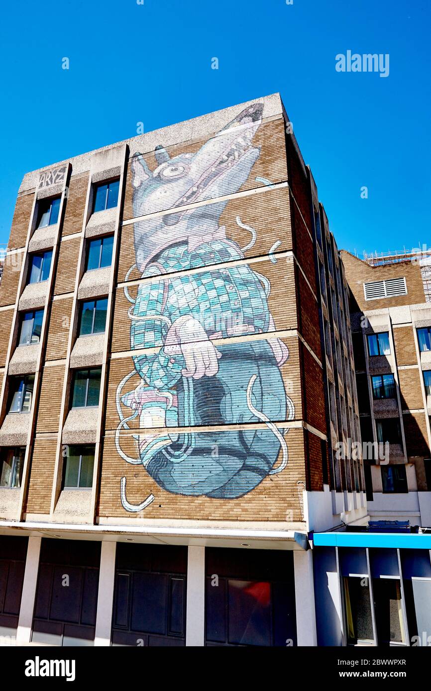 Wall Mural di Aryz su Nelson Street a Bristol, Inghilterra Regno Unito Foto Stock