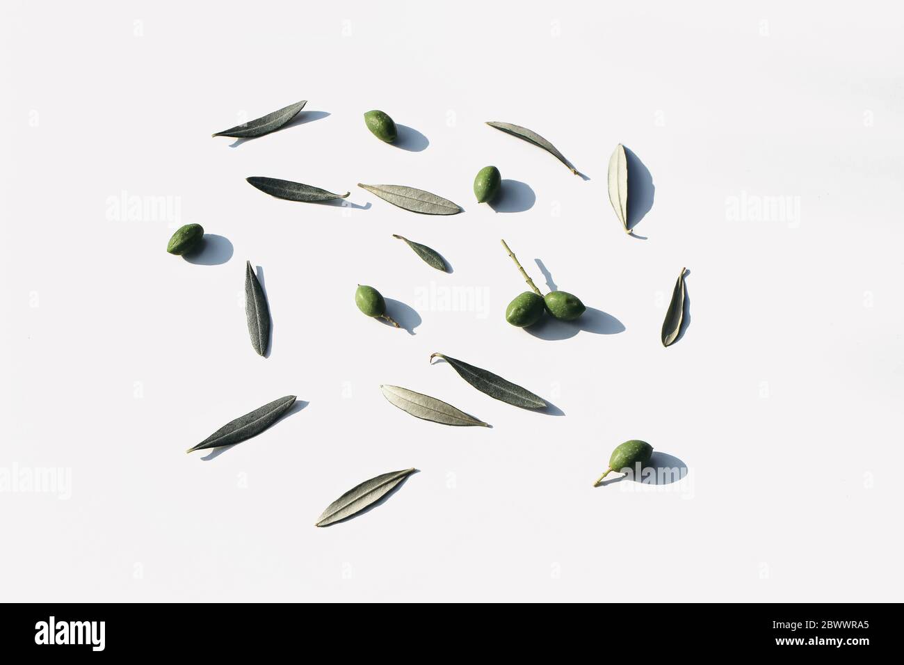 Estate modello botanico. Composizione floreale alimentare di frutta verde d'oliva e foglie in luce solare isolato su sfondo bianco della tavola. Mediterraneo Foto Stock