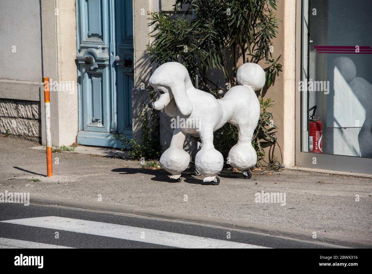 Modello Poodle negozio esterno in strada in Aigues-Mortes Francia Foto Stock