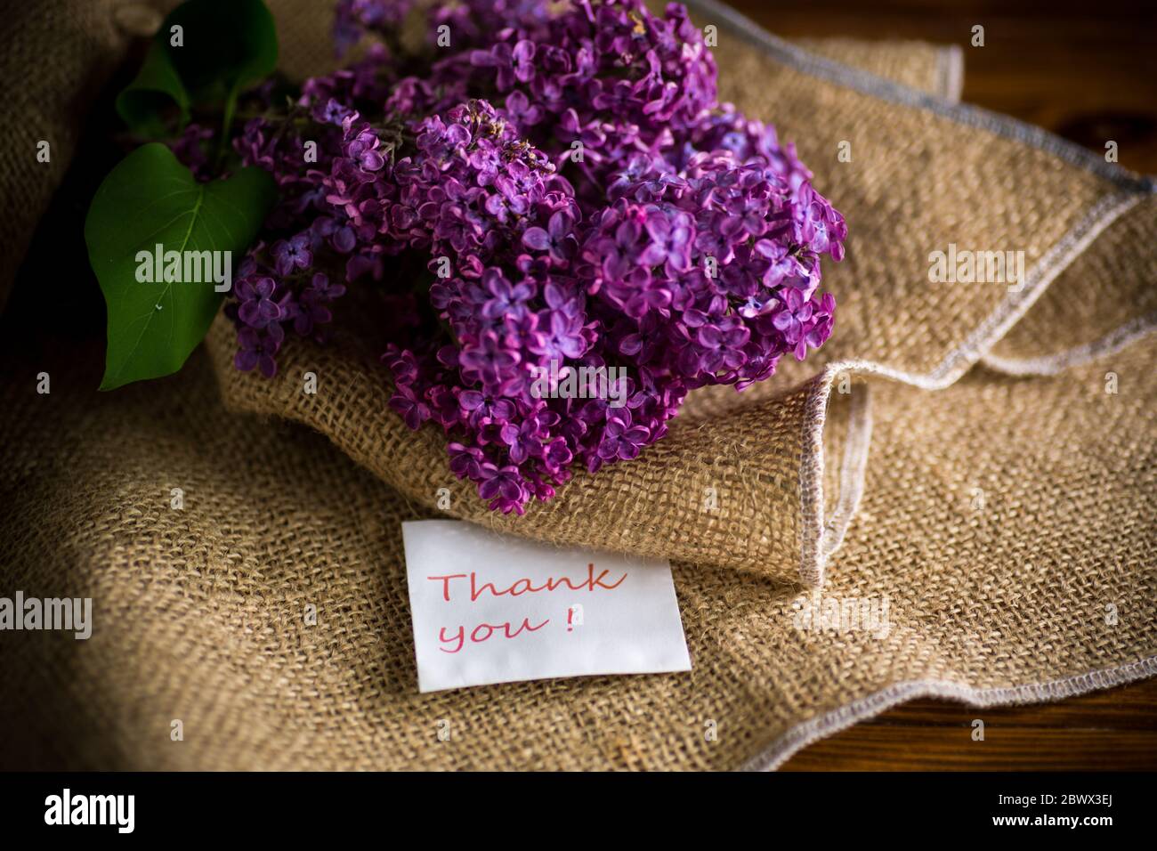 bouquet di bel lilla viola primavera in burlap Foto Stock