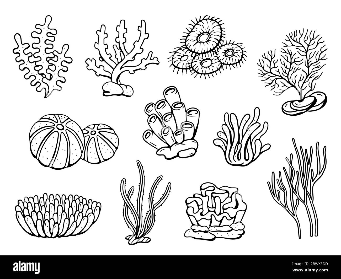 Set di doodle da disegno corallo. Illustrazione vettoriale Illustrazione Vettoriale