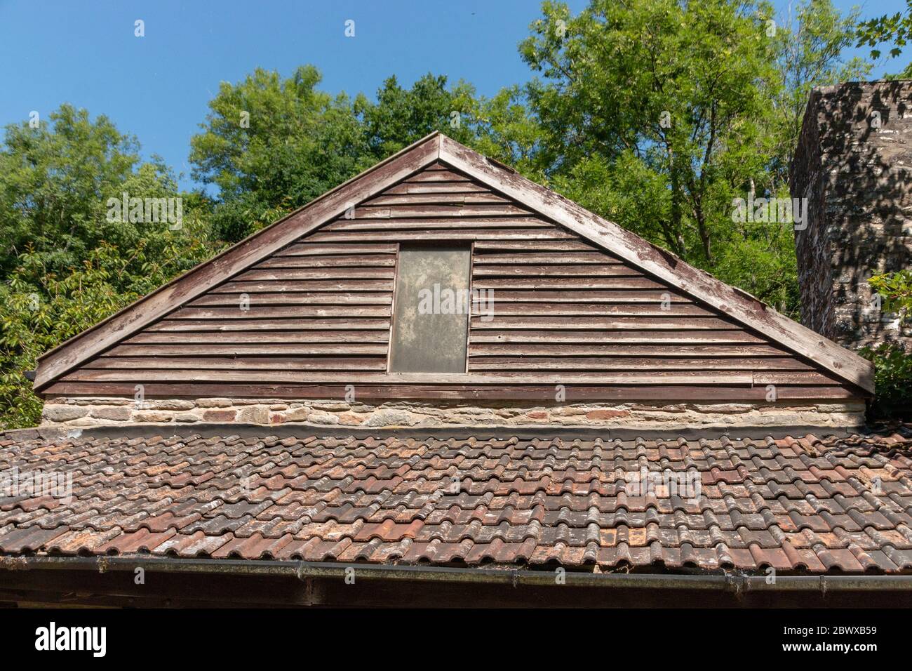 vista ravvicinata della cima di una vecchia cabina in legno nella foresta Foto Stock