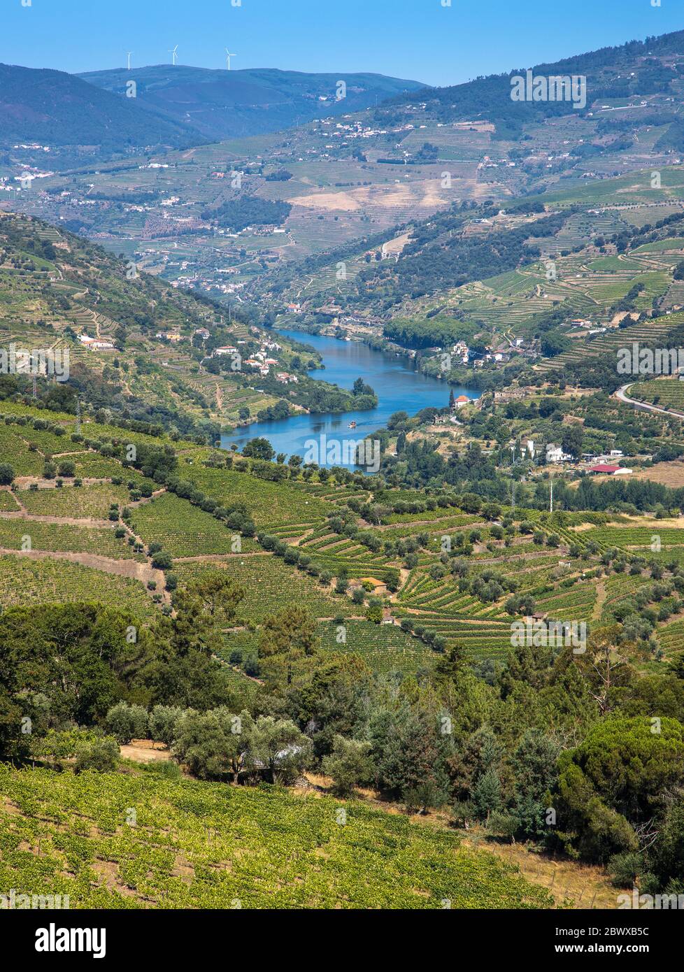 Fiume Douro nella valle circondata da vigneti terrazzati lungo la regione del Douro del Portogallo settentrionale Foto Stock