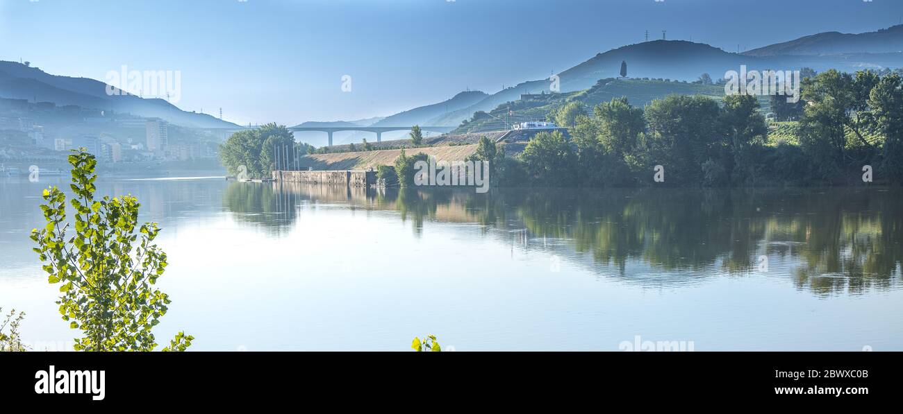 Moody colpo dei vigneti della valle di Douro e l'ironico Sandeman aped uomo di nome Don vestito in un capo studente portoghese sulla cima di una collina che domina il fiume Foto Stock