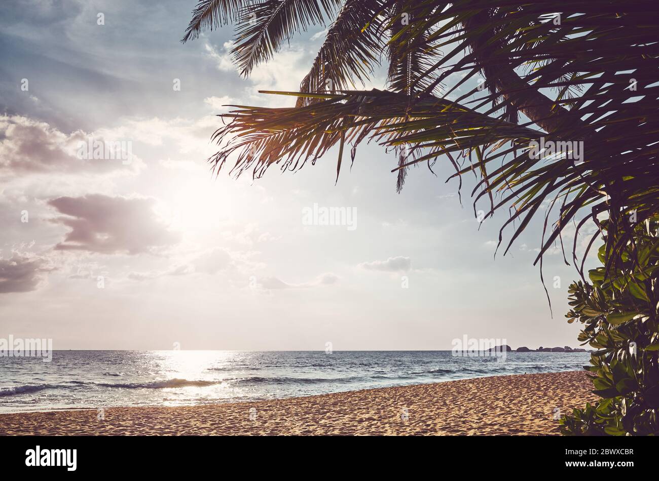 Spiaggia tropicale con foglie di palme al tramonto, colore tonificante applicato. Foto Stock