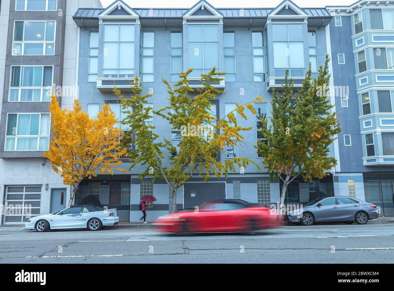 L'immagine cattura una scena di strada in un ambiente urbano con tre alberi di gingko in tre diversi colori autunnali. Foto Stock