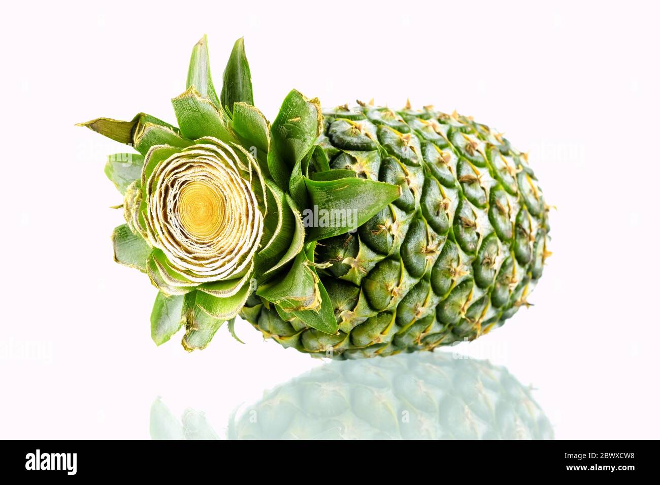 Ananas isolati su sfondo bianco. Foto Stock