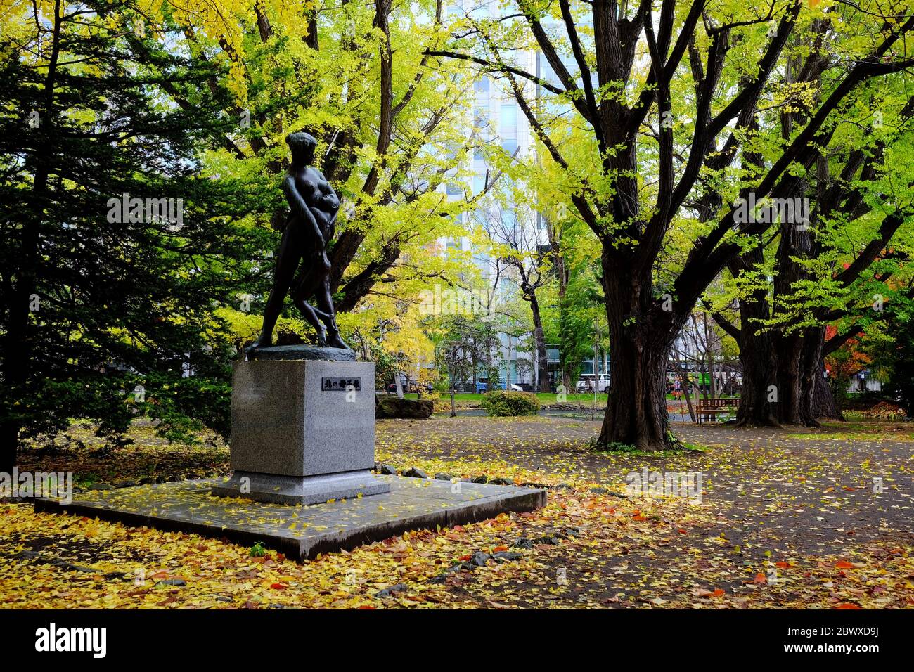 SAPPORO, GIAPPONE - 12 NOVEMBRE 2019: Parco pubblico in autunno di fronte all'ex edificio del governo di Hokkaido nella stagione autunnale dove è un f Foto Stock