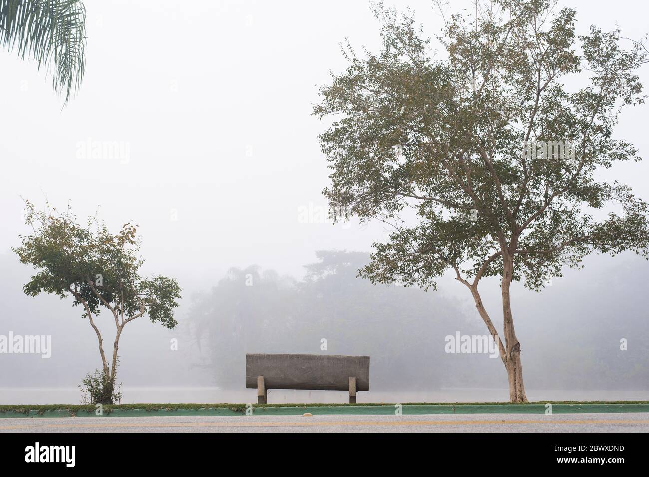 Una panchina vuota in una mattina foggy Foto Stock