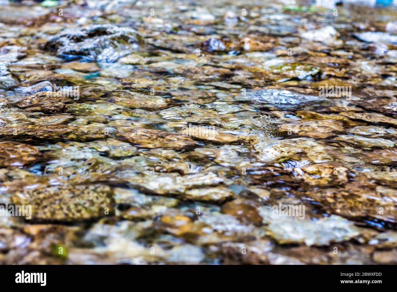 Acqua cristallina nella cascata di Panchpula, Dalhousie, Himachal Pradesh, India. Piccoli ciottoli sotto l'acqua limpida. Ciottoli colorati in acqua. Foto Stock