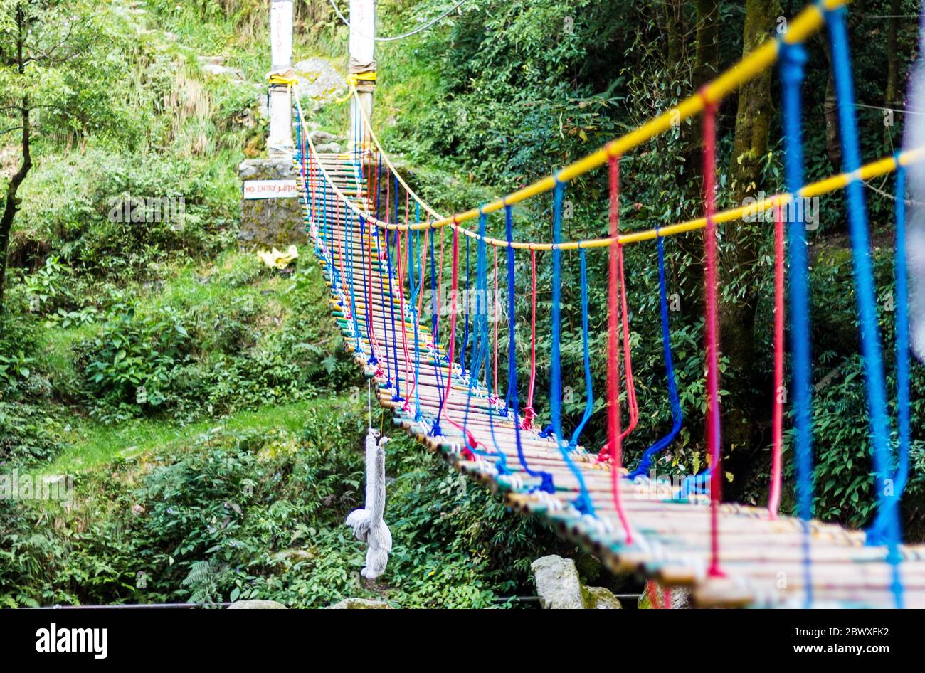Un ponte sospeso sulla cascata a Panchpula Dalhousie, Himachal Pradesh India. È per attività avventurose per bambini e adolescenti. Foto Stock
