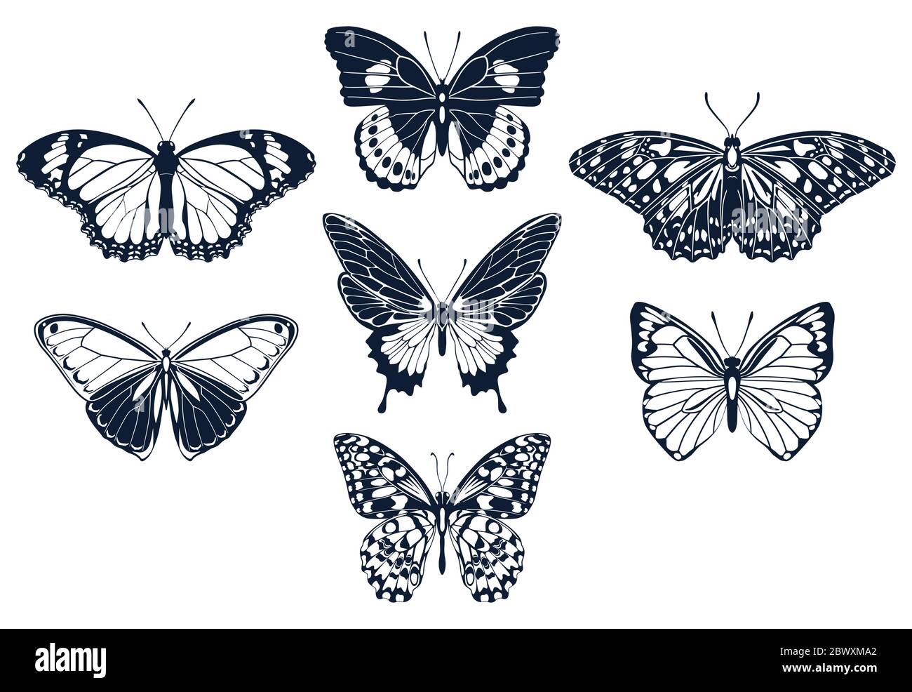 Set di sagome delle icone delle farfalle. Illustrazione vettoriale. Illustrazione Vettoriale