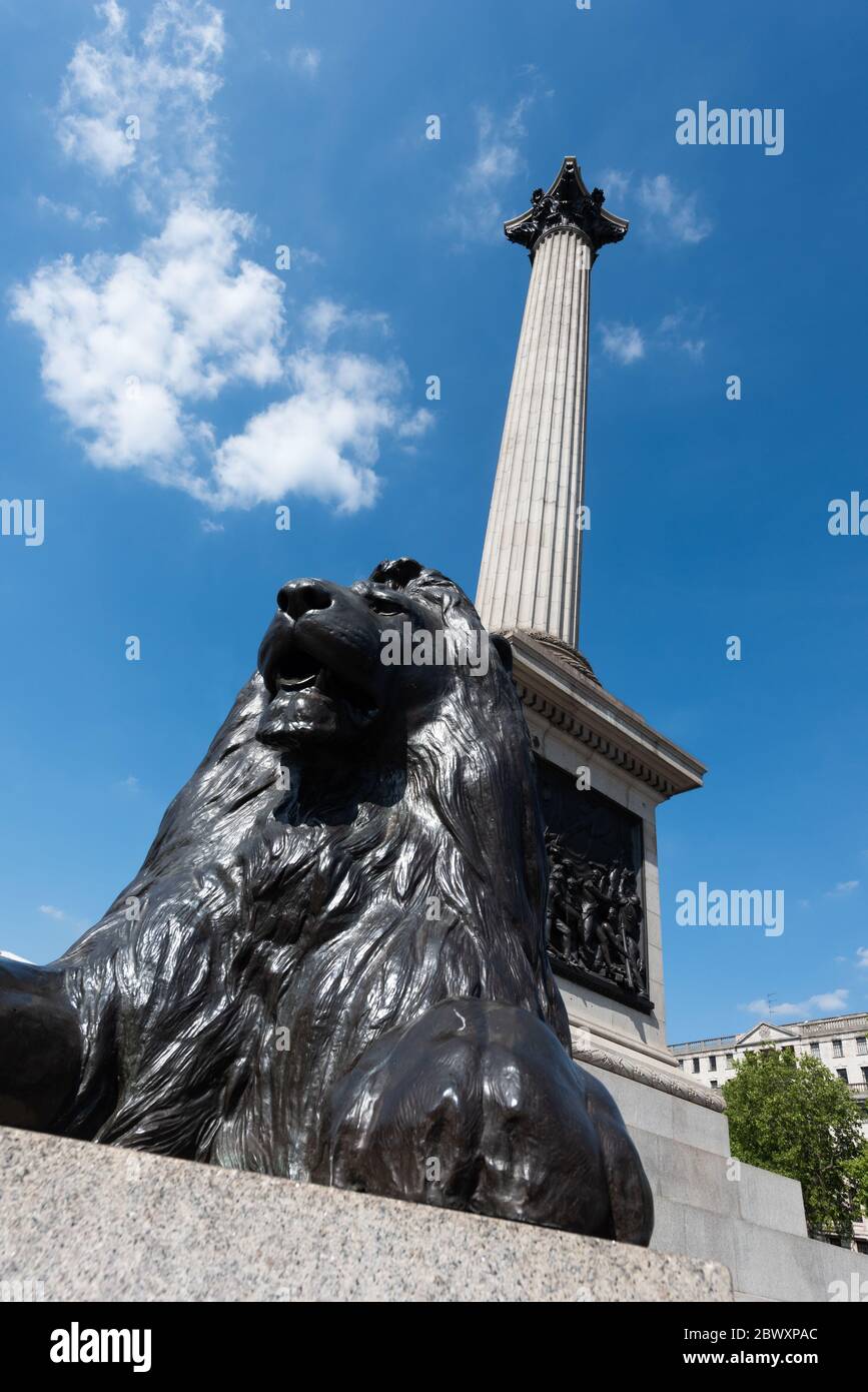 Colonna di Nelson e Landseer Lion, Trafalgar Square, Londra, Regno Unito Foto Stock